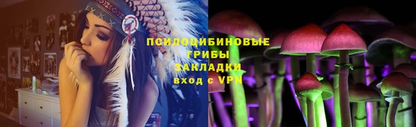 бошки Абаза
