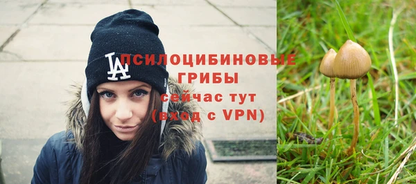 Альфа ПВП Алексеевка