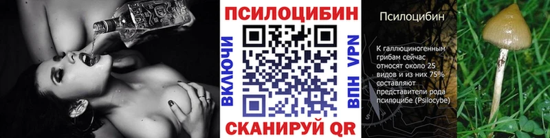 Псилоцибиновые грибы Cubensis  Узловая 